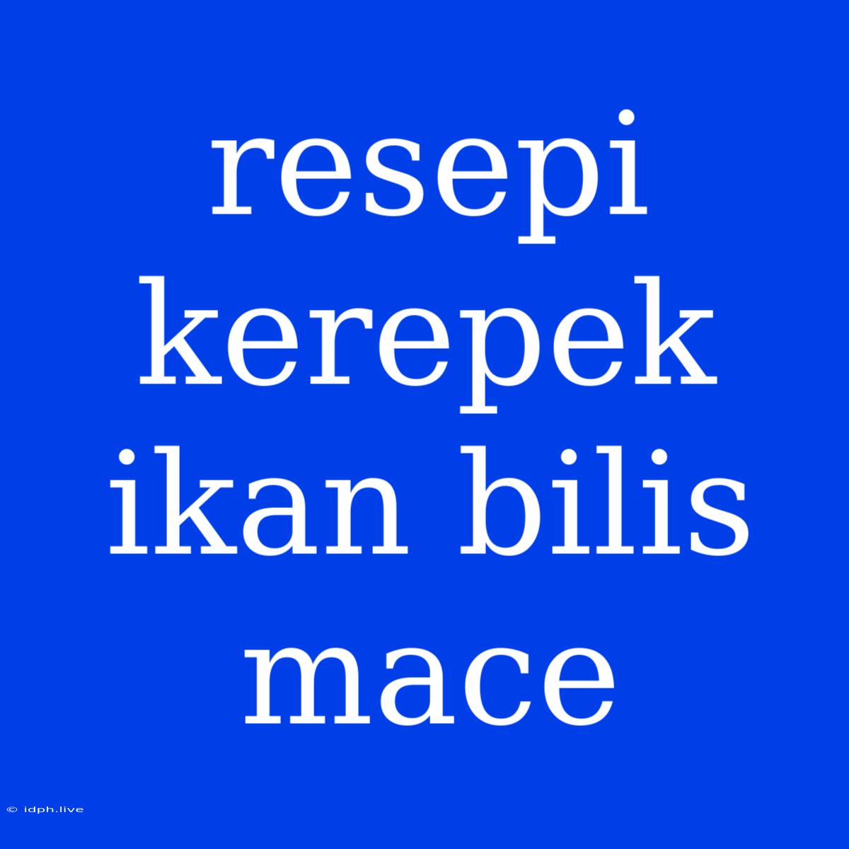 Resepi Kerepek Ikan Bilis Mace