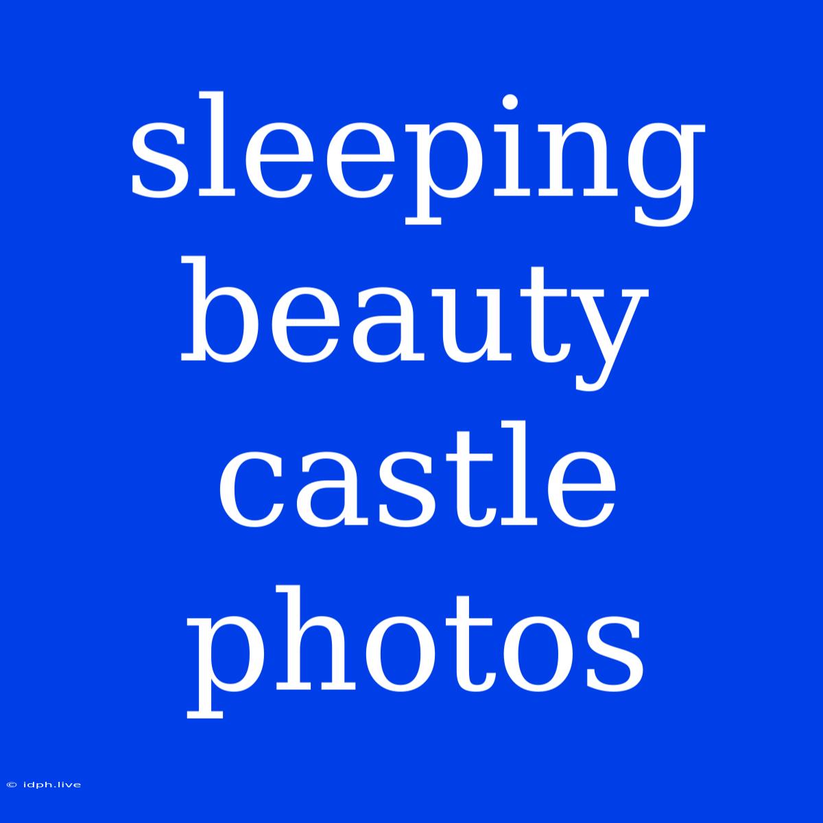 Sleeping Beauty Castle Photos