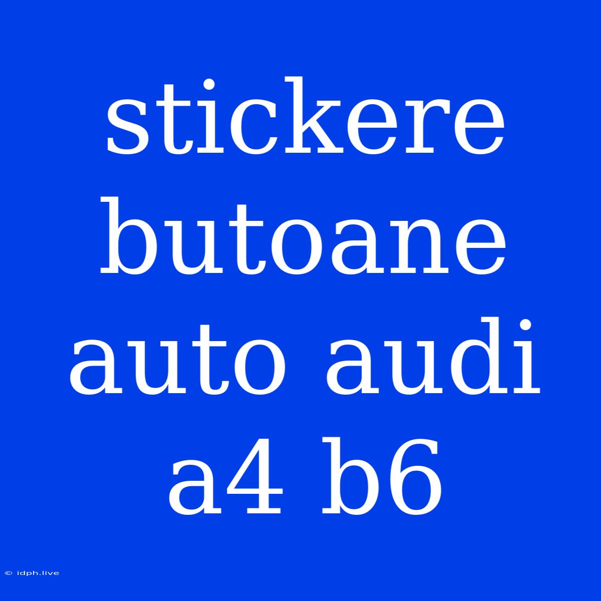 Stickere Butoane Auto Audi A4 B6