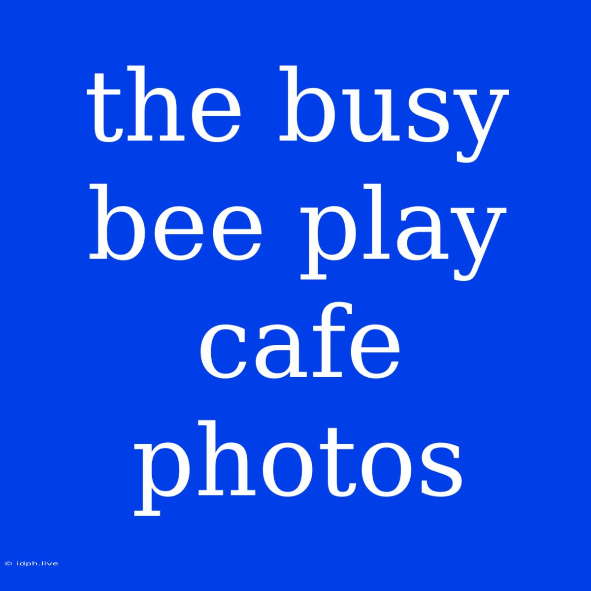 The Busy Bee Play Cafe Photos