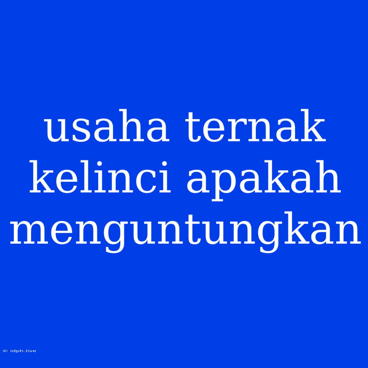 Usaha Ternak Kelinci Apakah Menguntungkan